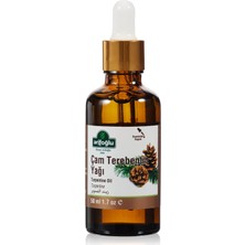 Arifoğlu Çam Terebentin Yağı (50 Ml)
