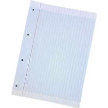 Sarbo Fransız Seyes Çiftli Yedek (Double Paper) 100'LÜ