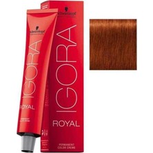 Igora Royal Saç Boyası 60ML-NO - 6.77 Yoğun Bakır Koyu Kumral