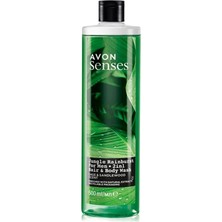 Senses Jungle Rainburst Adaçayı ve Sandal Ağacı Kokulu Erkek Saç ve Vücut Şampuanı 500 ml