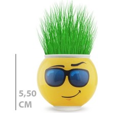 Emoji Figürlü Çim Adam Saksı Masaüstü Çim Yetiştirme Seti, Hazır Tohumlu, Hediye Paketli Çim Adam