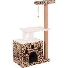 Mio Kedi Tırmalama, Gordion, Leopar