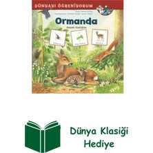 İş Bankası Kültür Yayınları Ormanda Resimli Sözlüğüm-Dünyayı Öğreniyorum + Dünya Klasiği Hediye