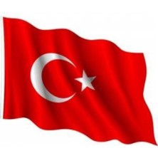 Lona Sanat Büyük Boy Türk Bayrağı 300 CMX450 cm