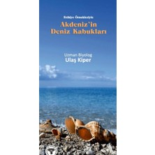 Arkeoloji ve Sanat Yayınları Akdeniz’in Deniz Kabukları Fethiye Örnekleriyle