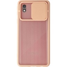 Royaleks Samsung Galaxy A01 Core Kılıf Palm Buzlu Kamera Sürgülü Silikon - Pembe