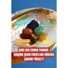 The Magıc Of Healıng (708) Şans Bolluk Bereket Para Fırsat Doğal Taş Tumble Seti (Sitrin, Yıld�