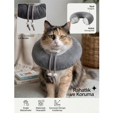Patiderm Elizabeth Yakalık Yumuşak Ayarlanabilir Kedi Köpek Koruyucu Boyunluk, Gri, L Beden