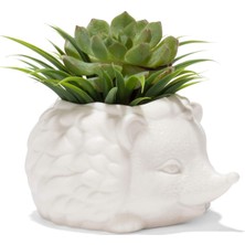 Kirpi Saksısı - Sevimli Seramik Hayvan Sukulent Bitki Saksısı - 7,8 cm x 14,8 cm x 13 cm