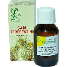 Çam Terebentini 50 cc