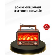 Aesco Alev Işığı Efektli Solar Bluetooth Hoparlör Radyo Destekli Taşınabilir Model