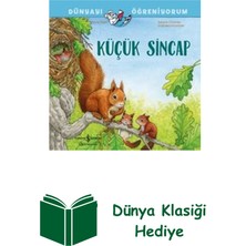 İş Bankası Kültür Yayınları Küçük Sincap - Dünyayı Öğreniyorum + Dünya Klasiği Hediye