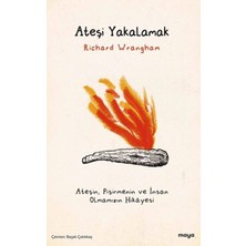Ateşi Yakalamak