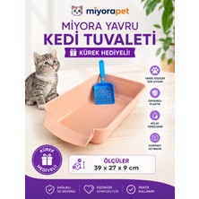 Yavru Kedi Tuvaleti-Ekru
