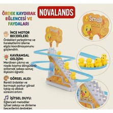 Small Duck Oyuncak Işıklı Sesli Kaykay Merdivenli Ördek Müzikli Dön Dolaş Ördek Oyunu