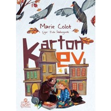 Karton Ev