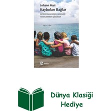 Metis Yayınları Kaybolan Bağlar-Depresyonun Gerçek Nedenleri Ve... + Dünya Klasiği Hediye
