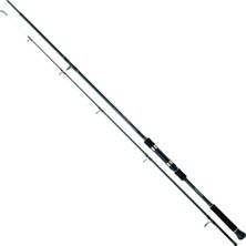 Daiwa Procaster Game Iı 270CM 30-120 Jig Olta Kamışı