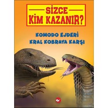 Mabelme Store Sizce Kim Kazanır? Komodo Ejderi Kral Kobraya Karşı