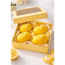 Maxi Trendy Nish Candles Limon Mum 4'lü Set Hediye Kutusunda Ilkbahar Yaz Dekoru Balkon Bahçe Dekorasyonu