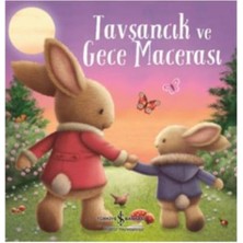 Tavşancık ve Gece Macerası