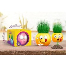 Maxi Trendy Yuup Emoji Temalı Çim Adam 6'lı Set – Çocuklar Için Eğitici ve Eğlenceli Bitki Yetiştirme Kiti