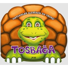 Mabelme Store Hayvanlar Aleminin En Yavaşı : Tosbağa