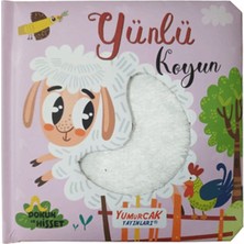 Yünlü Koyun