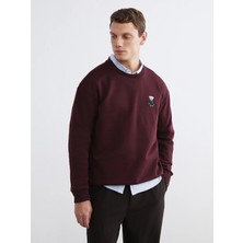 Lc Waikiki Yeni Sezon Bisiklet Yaka Ayı Teddy Baskılı Erkek Kalın Sweatshirt