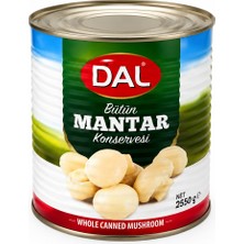 Dal Bütün Mantar Konservesi 2550g
