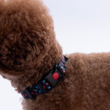 Pawstar Dino Dinozor Desenli Köpek Boyun Tasması Ayarlanabilir Köpek Tasması