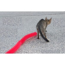 Hereveoyuncak Kedi Tırmalama Fırçası - Kedi Oyunccağı