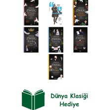 Alfa Yayınları Stefan Zweig 7 Kitap Seti + Dünya Klasiği Hediye