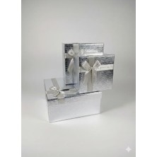 Delixa Unutulmaz Anlar Için: Gümüş Renk Büyük Boy Özel Gün Kutusu 26X26X12 cm Lüks Gümüş Kutusu