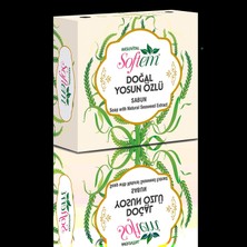 Delixa Softem Doğal Yosun Özlü Sabun 130G | Sıkılaştırıcı ve Arındırıcı Etki | Yosun Mineralli Sabun | Para