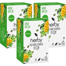Delixa Herby Yeşil Kahve Çekirdekli Fit Çay, 3'lü Paket