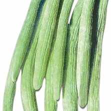 Delixa Uzun Anadolu 106 Acur Tohumu (100 Tohum)