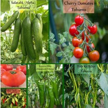 Delixa 6 Paket Tohum No1 Cherry Çeri Domates Tohumu Salatalık Tohumu Biber Tohumları Sebze Tohumları