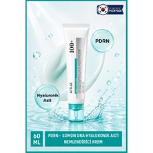 Anua Pdrn - Somon Dna Hyaluronik Asit Nemlendirici Krem 60 ml