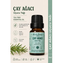 Minia Bahçe Çay Ağacı Uçucu Yağı – Tea Tree Essential Oil, 10 ml
