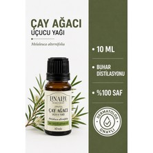Linalis Çay Ağacı Uçucu Yağı