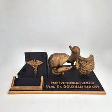 Hediyemix Kişiye Özel Gastroenteroloji Uzmanı Masaüstü İsimlik Kartvizitlik - Doktora Özel Hediye