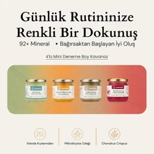Seamoss Sea Moss Özel Aromalı 4' Lü Özel Deneme Kiti