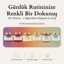Seamoss 6’lı Deneme Kiti Soft Jel İrlanda Menşeli İçerik Bilgisi ile Zenginleştirilmiş
