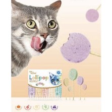 Asa Store Kedi Lolipopu Ödül 15 Adet