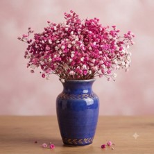 Şoklanmış Kurutulmuş Cipso Çiçeği (60GR)