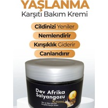 Bezos Süper Das Dev Arfrika Salyangozu Cilt Masaj Bakım Kremi 100 ml 2 Adet
