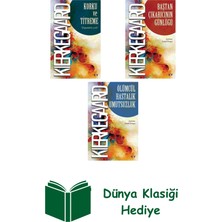 Say Soren Kierkegaard 3 Kitap Seti + Dünya Klasiği Hediye