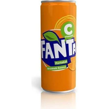 Bezos Portakal Kutu 250ML