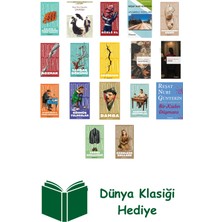 İnkılap Kitabevi Reşat Nuri Güntekin 17 Kitap Seti + Dünya Klasiği Hediye